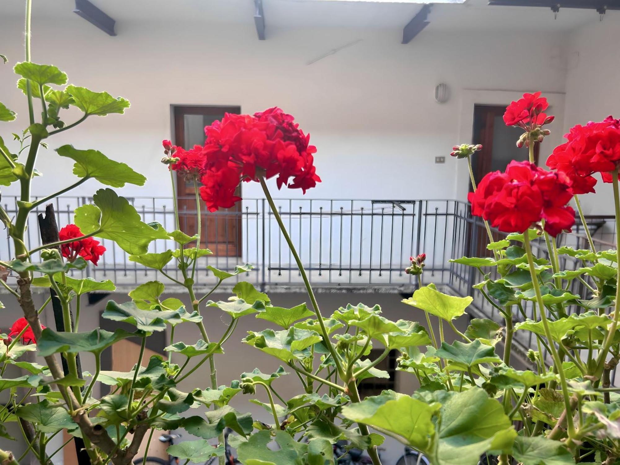 Gorizia Holiday Inn Rastello Suite エクステリア 写真